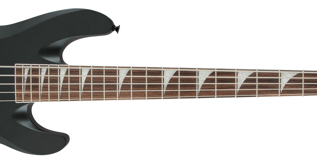 X Series Signature David Ellefson Concert™ Bass CBX V